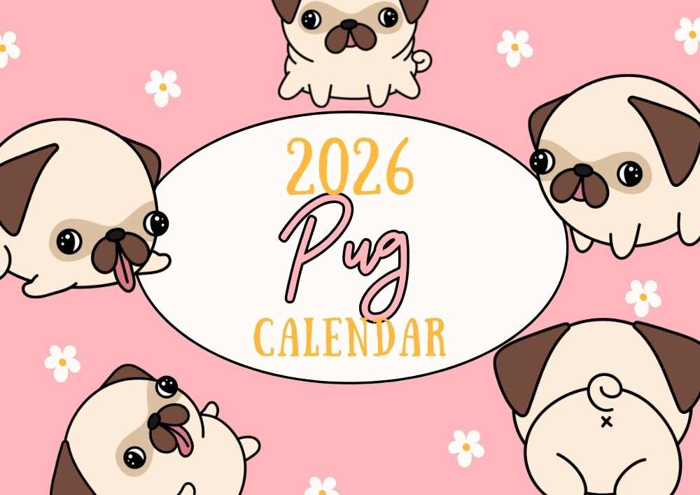 2026 Printable Calendar | Pink Cute Floral Funny 2026 Pug Dog Calendar – Editable Canva Template | Floral Pug 2026 Calendar 2026 Printable Calendar | Pink Cute Floral Funny 2026 Pug Dog Calendar – Editable Canva Template | Floral Pug 2026 Calendar
