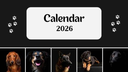 2026 Printable Calendar | Black and White Photo Dog Year 2026 Calendar – Editable Template