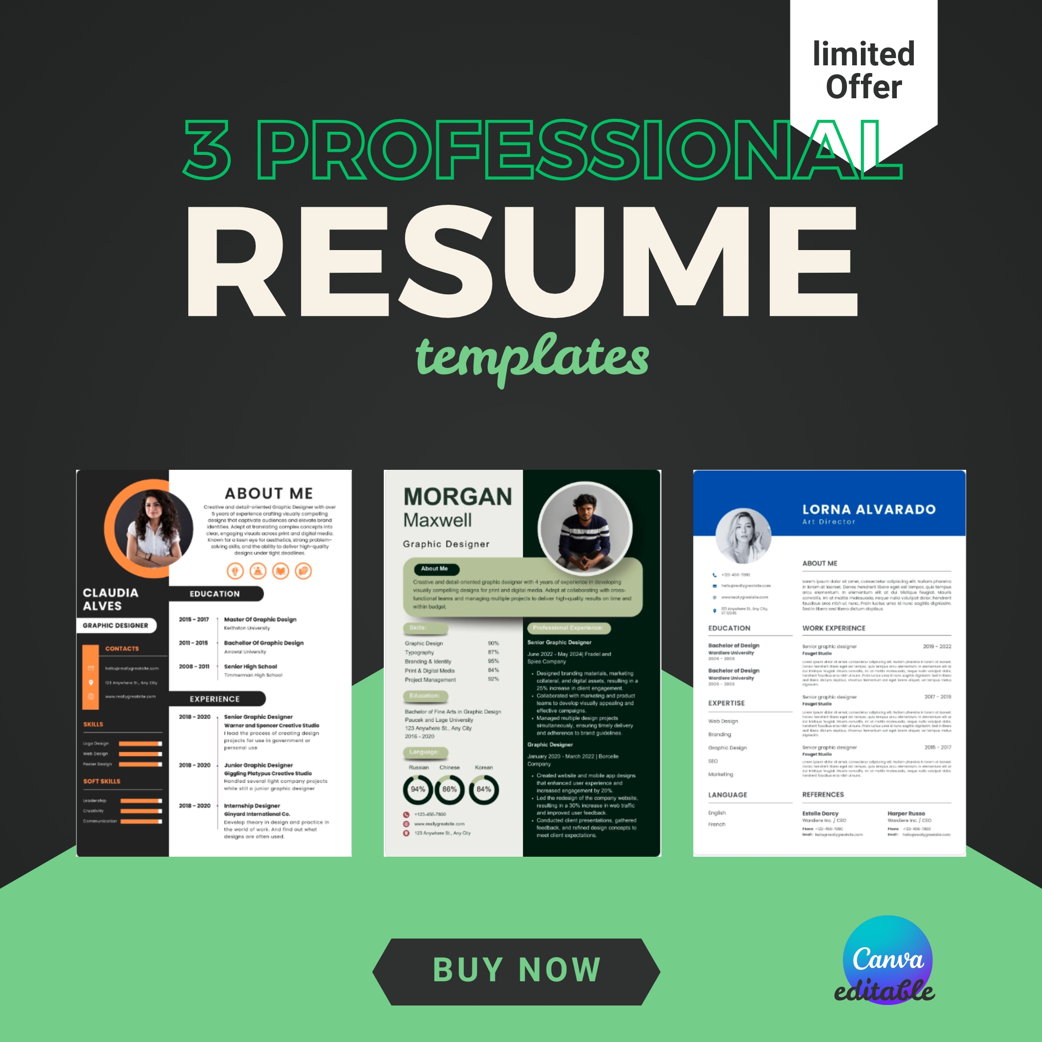 3 Editable Resume Templates Professional Resume Templates Bundle (3 Pack) | Editable Modern CVs | Canva Resume Kit for Job Seekers | Instant Download