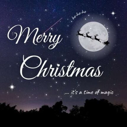 _instagram post Merry Christmas holiday